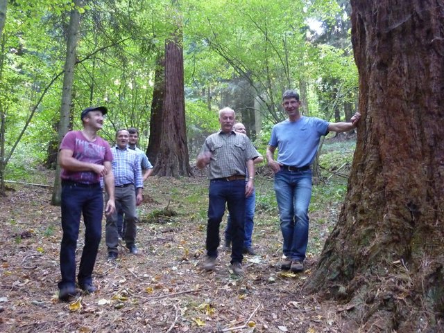 Gruppe von Menschen bei Ausflug im Wald